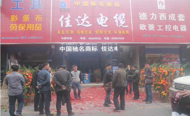 湖南茄子视频IOS在线下载电线电缆有限公司,茄子视频IOS在线下载电线电缆,茄子视频在线观看网址系列,控制电缆,电线电缆企业哪里好
